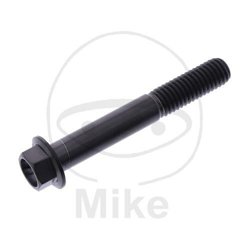 SCHR 6KT M8X1.25MM 55MM TI SW