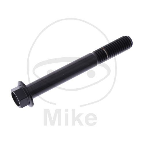 SCHR 6KT M8X1.25MM 65MM TI SW