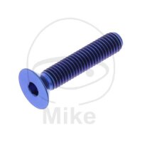 SCHR SENK M5X0.8MM 25MM TI BL