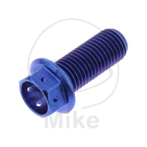 SCHR 6KT M10X1.25MM 25MM TI RAC BL