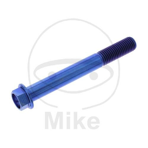 SCHR 6KT M10X1.25MM 80MM TI BL