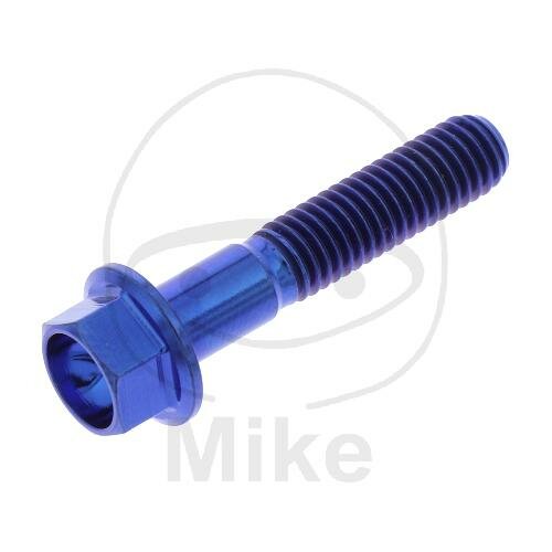 SCHR 6KT M5X0.8MM 25MM TI BL