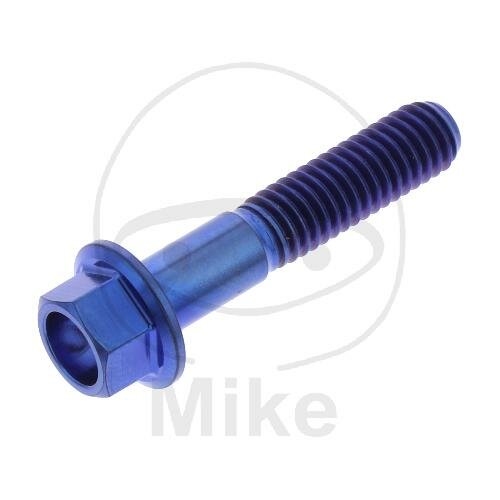 SCHR 6KT M6X1.00MM 30MM TI BL