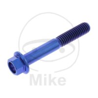 SCHR 6KT M6X1.00MM 40MM TI BL