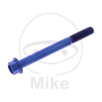 SCHR 6KT M6X1.00MM 60MM TI BL