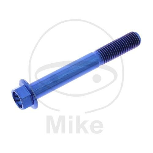 SCHR 6KT M8X1.25MM 60MM TI BL