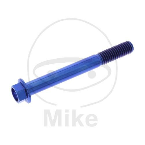 SCHR 6KT M8X1.25MM 70MM TI BL