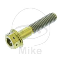 SCHR DUALDRIVE M6X1.00MM 28MM TI RAC GO