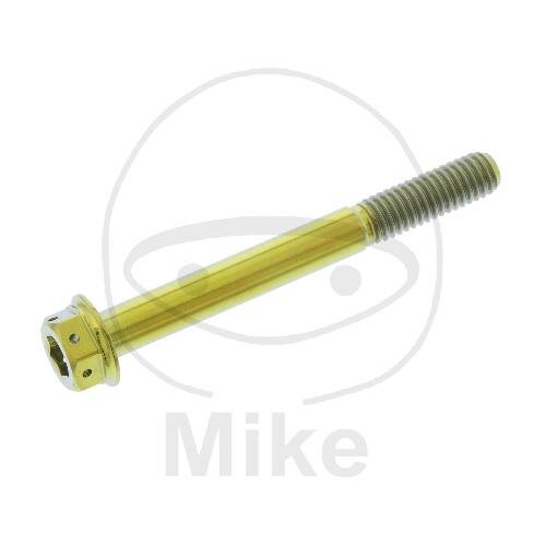 SCHR DUALDRIVE M6X1.00MM 55MM TI RAC GO