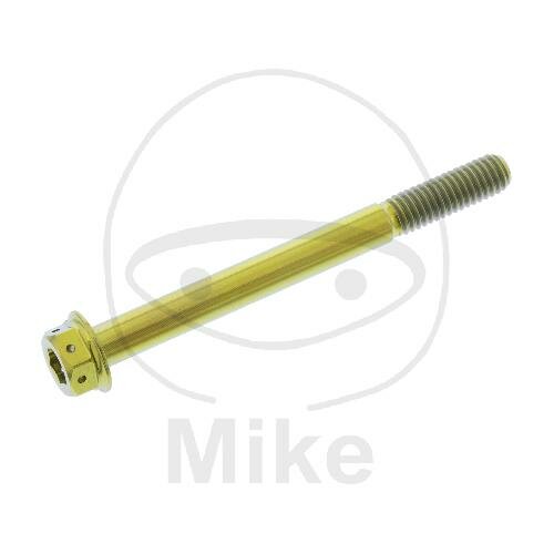 SCHR DUALDRIVE M6X1.00MM 65MM TI RAC GO