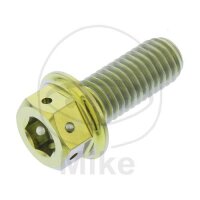 SCHR DUALDRIVE M8X1.25MM 20MM TI RAC GO