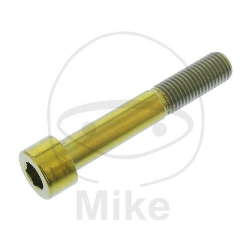 SCHR ZYL M10X1.25MM 60MM TI GO