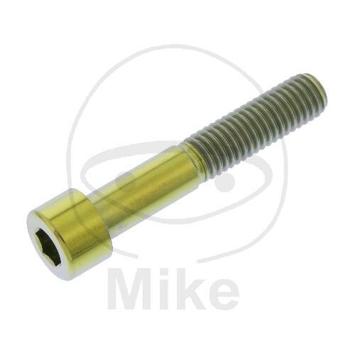 SCHR ZYL M8X1.25MM 45MM TI GO