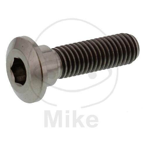 Vite M8x1,25x30 per Kawasaki 50 80 125 250 300 305 400 440 450 500 550 600 636 650 700 750 800 900 1000 1100 1200 1400 1500 1600 1700 2000