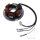 Lichtmaschine Anker Stator Generator JMP für Vespa PX 125 200