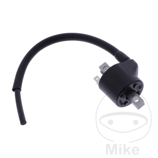 Ignition coil original for Beta RR 250 300 350 400 450 480 498 520