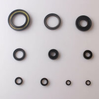 Motor Simmerring Dichtring Set für Yamaha YZ 250 99-00